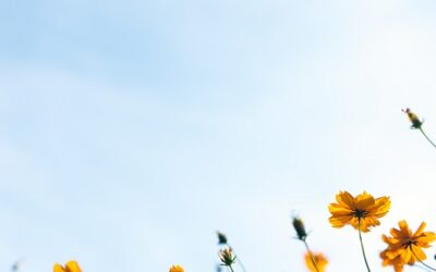 Vision Health in May