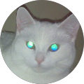 clown town Avatar