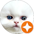 Cindy Willock Avatar