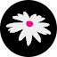 Daisy Pink Boutique Avatar