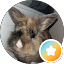 Brianna Avatar
