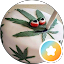 Reggie Symonds Avatar